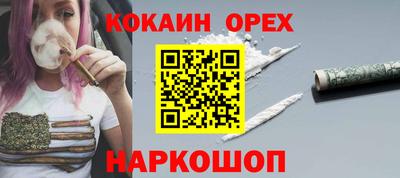 шишки Краснознаменск