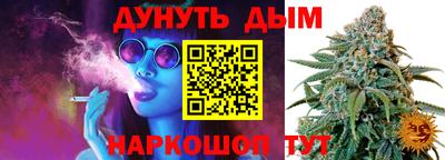 шишки Краснознаменск