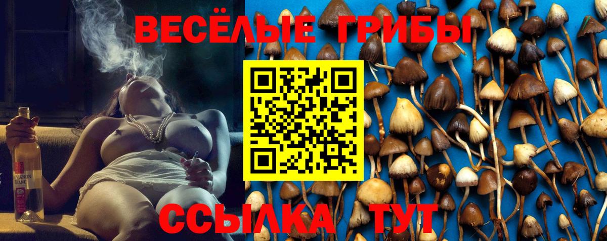 Галлюциногенные грибы ЛСД Биробиджан