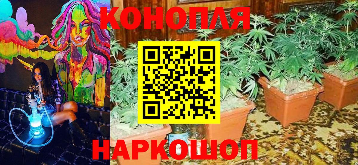 Бошки марихуана планчик Биробиджан